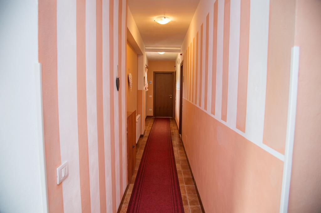 Hotel Madonna Della Neve Pettenasco Zewnętrze zdjęcie